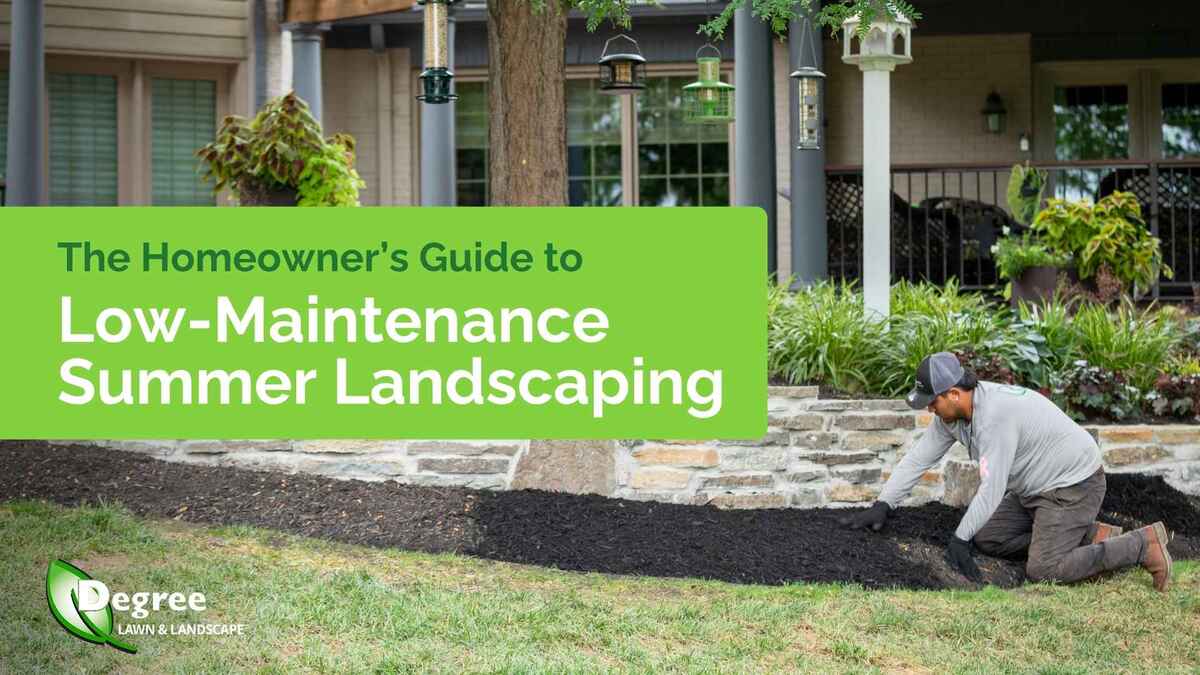 The Homeowner's Guide to Low-Maintenance Summer Landscaping